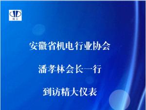 安徽省機電行業(yè)協(xié)會潘孝林會長一行到訪精大儀表