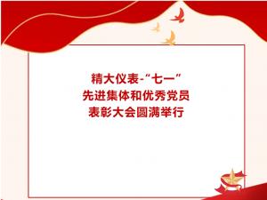 精大儀表“七一”先進集體和優(yōu)秀黨員表彰大會圓滿舉行